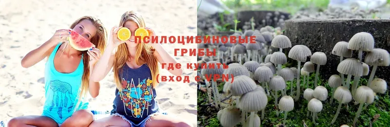 Псилоцибиновые грибы Magic Shrooms Аркадак